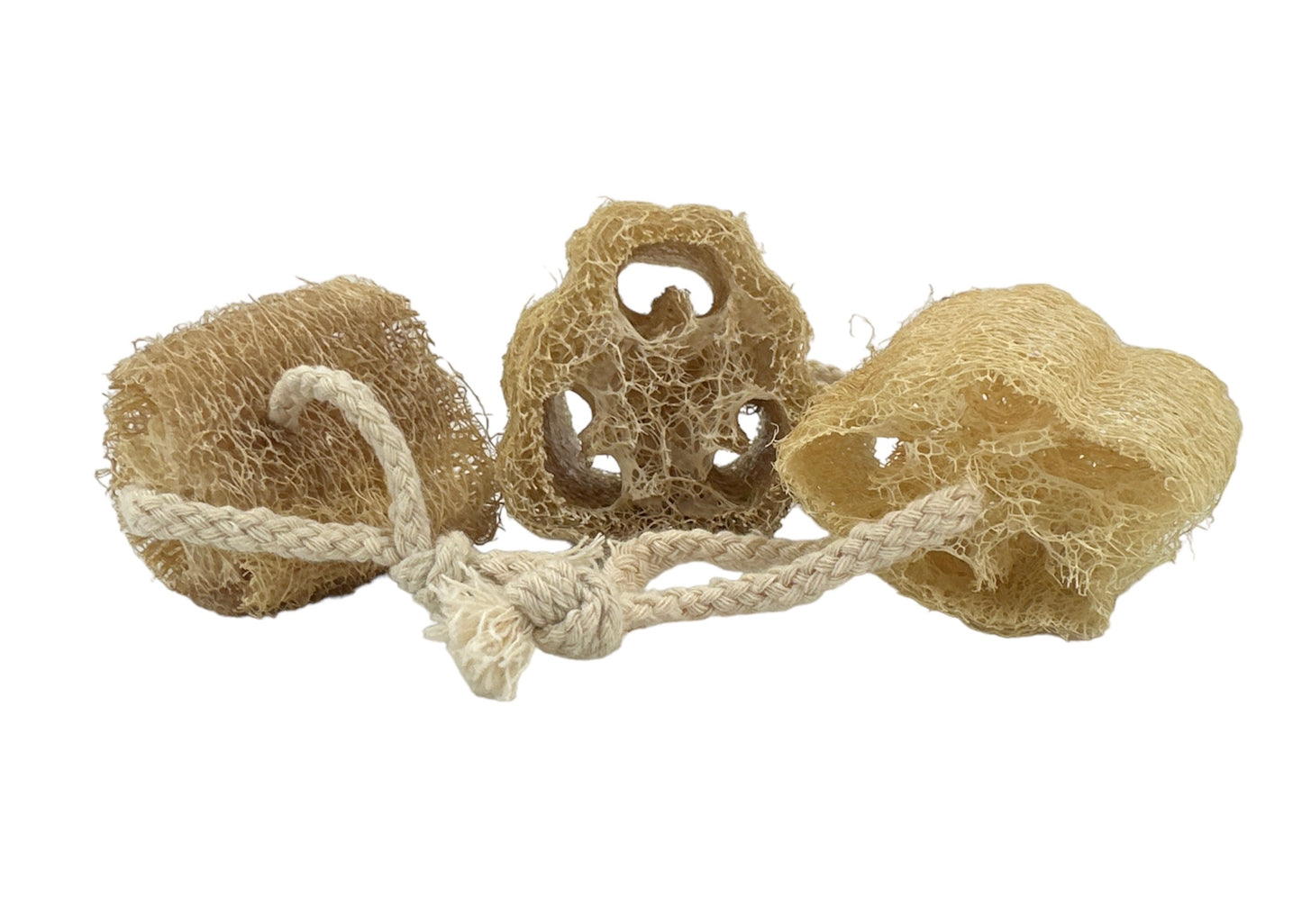 Loofah